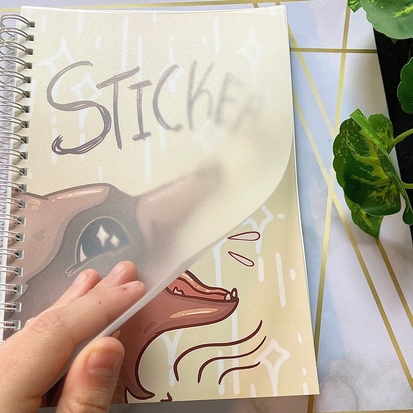 STICKERS Raccoon --Reusable Sticker Book--