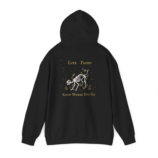 Life Passes Know Where You Go Cat Hoodie
