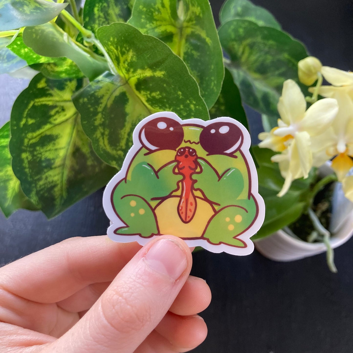 Frog Stickers!