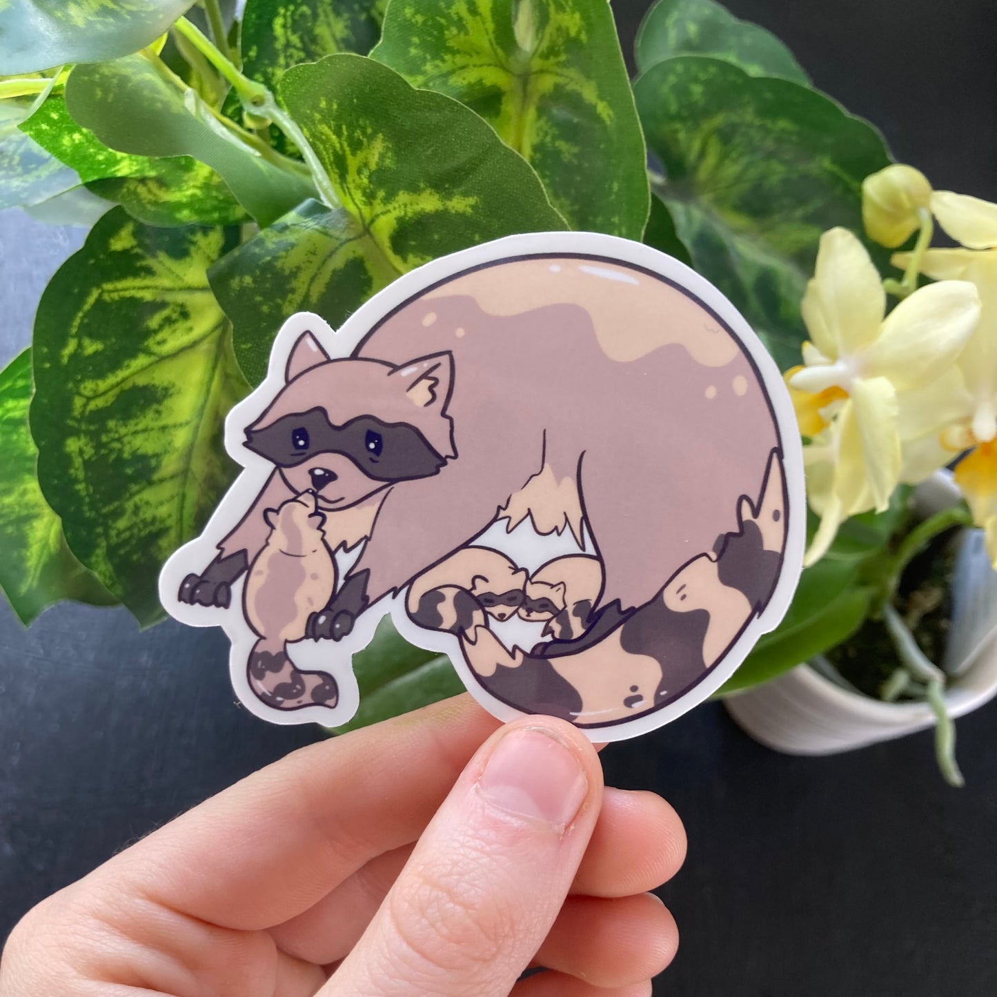 Raccoon Mama and Babies Sticker