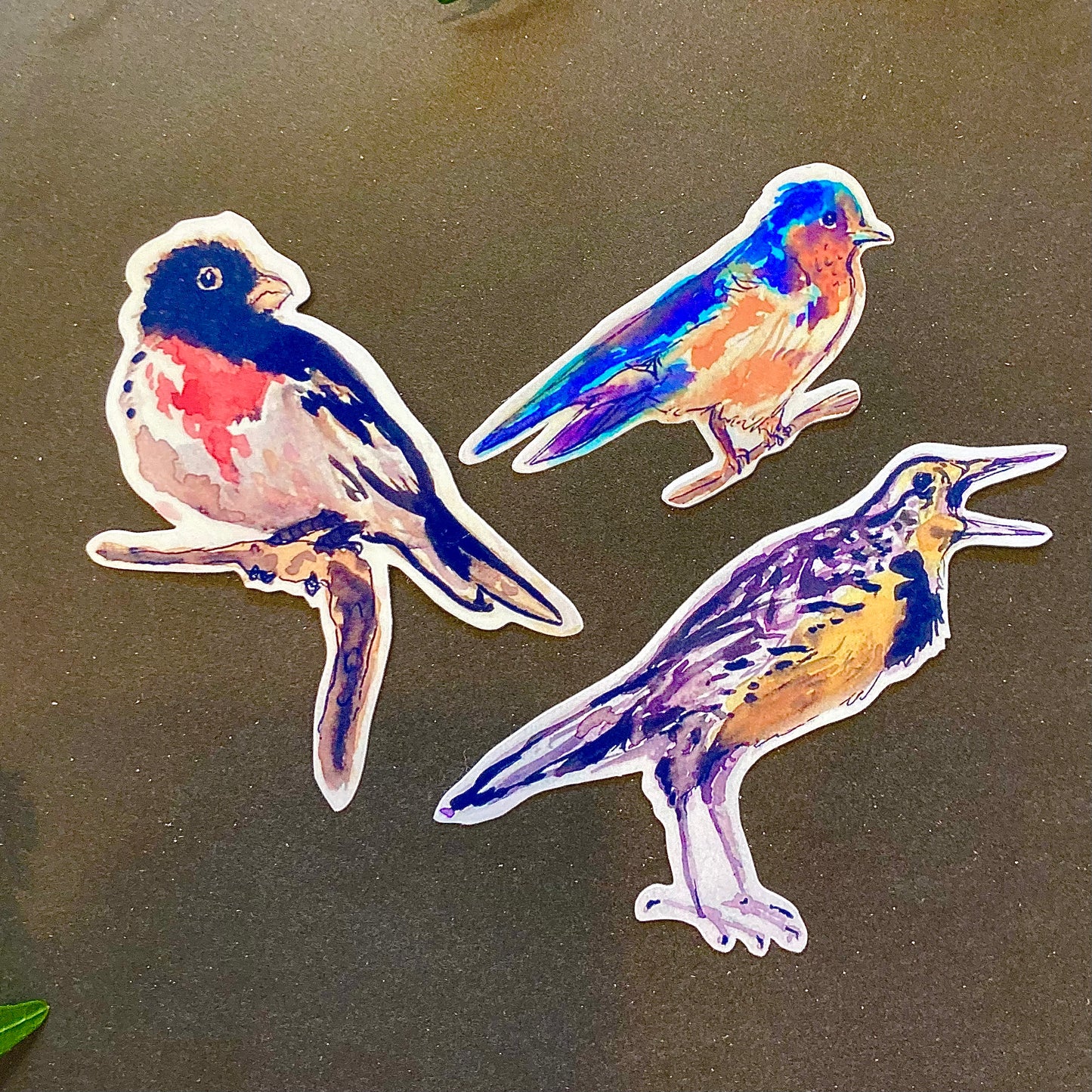 Watercolor Bird Sticker Pack