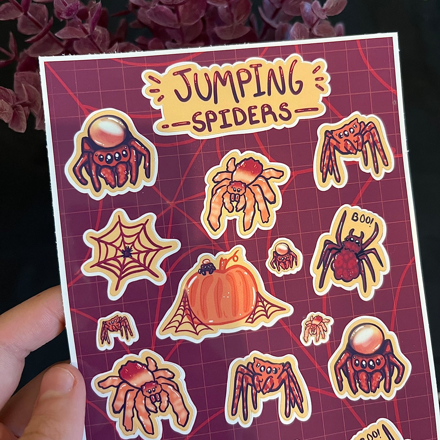 Jumping Spiders Sticker Sheet