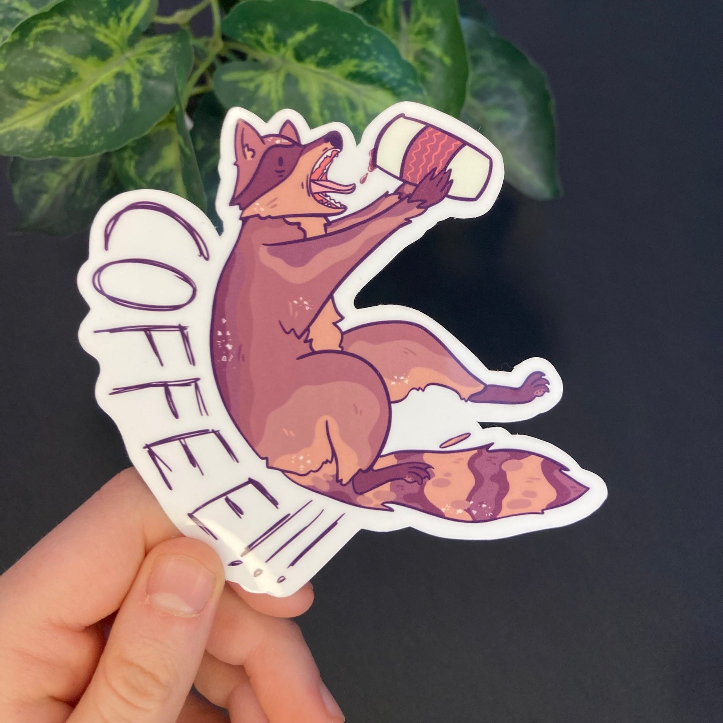 Café Raccoon Stickers