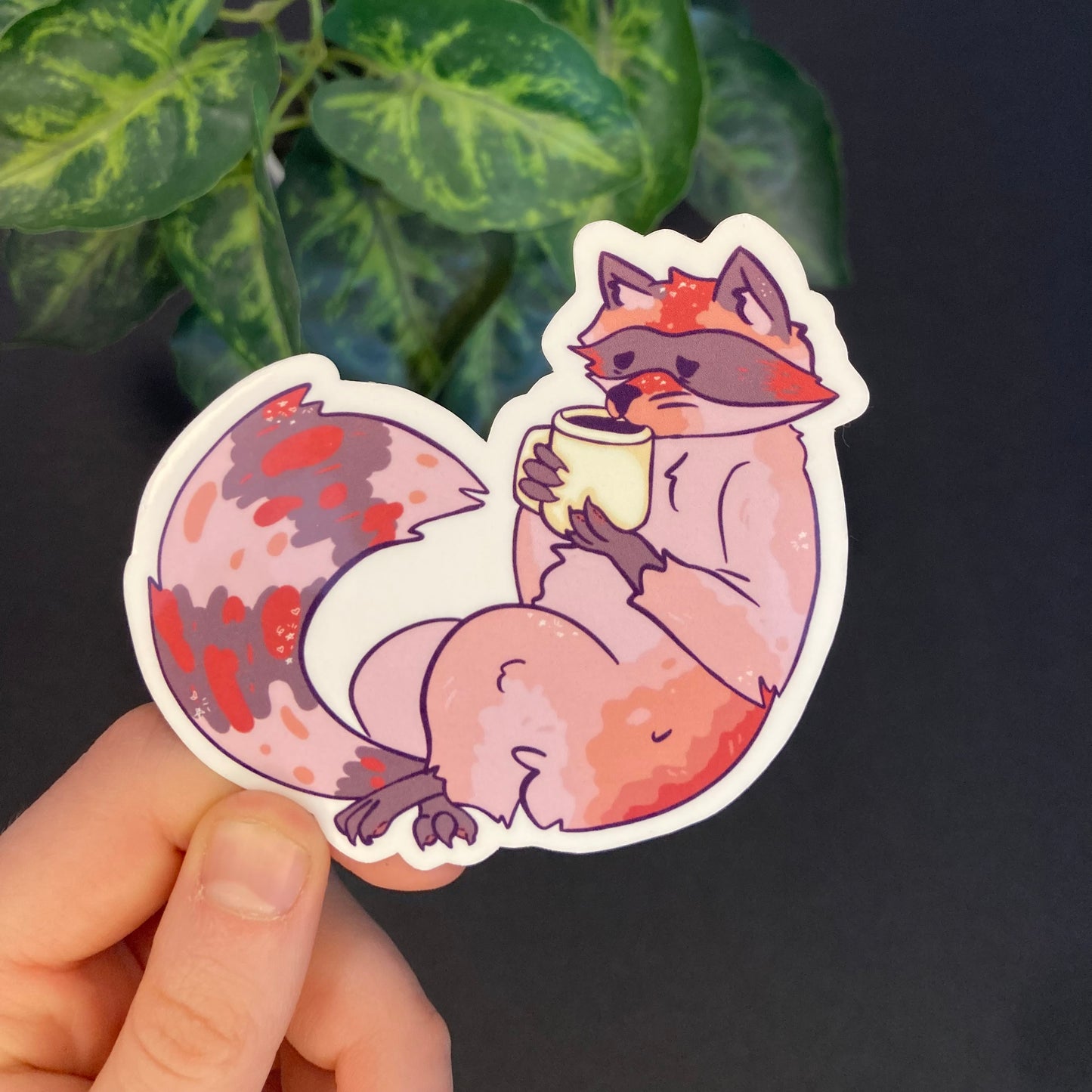 Café Raccoon Stickers