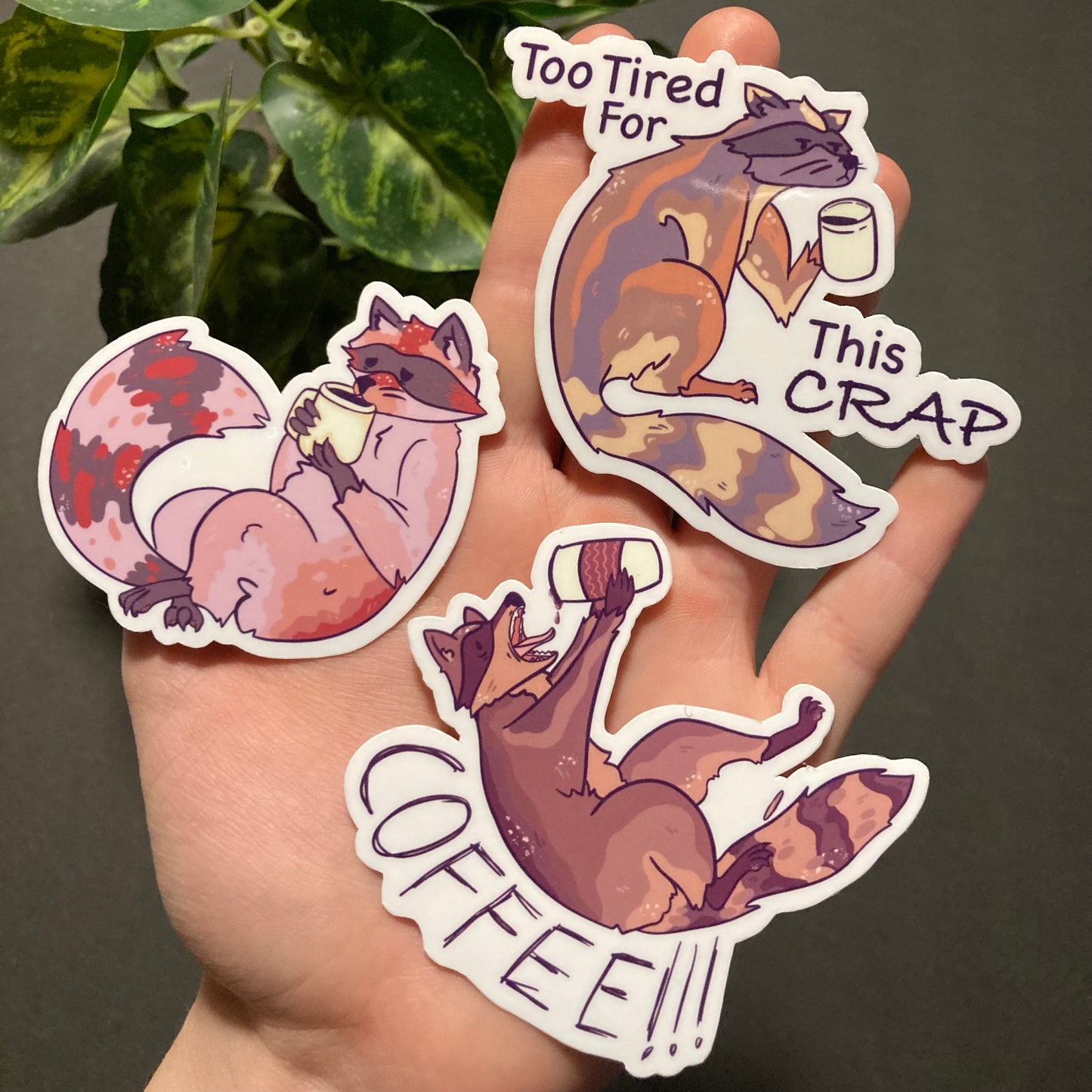 Café Raccoon Stickers