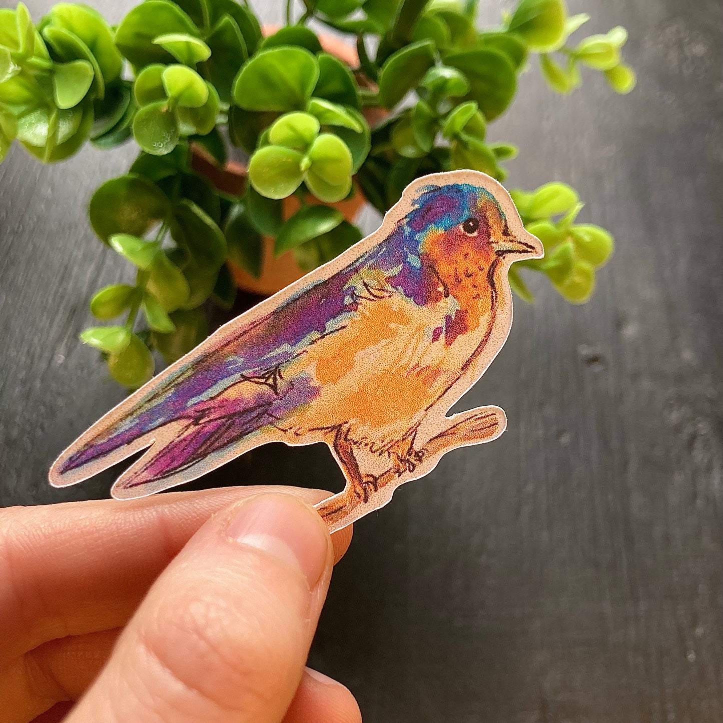 Watercolor Bird Stickers