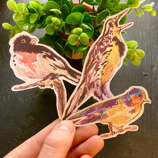 Watercolor Bird Stickers