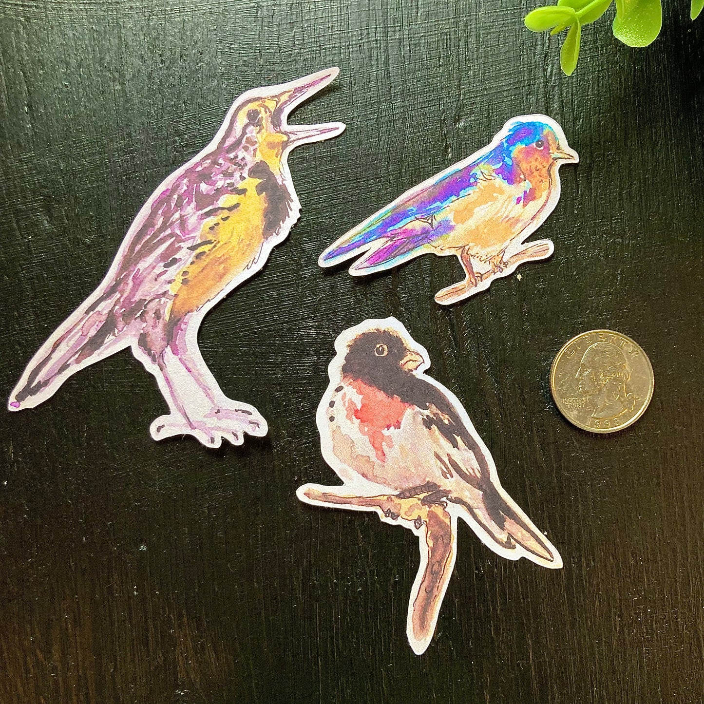 Watercolor Bird Stickers