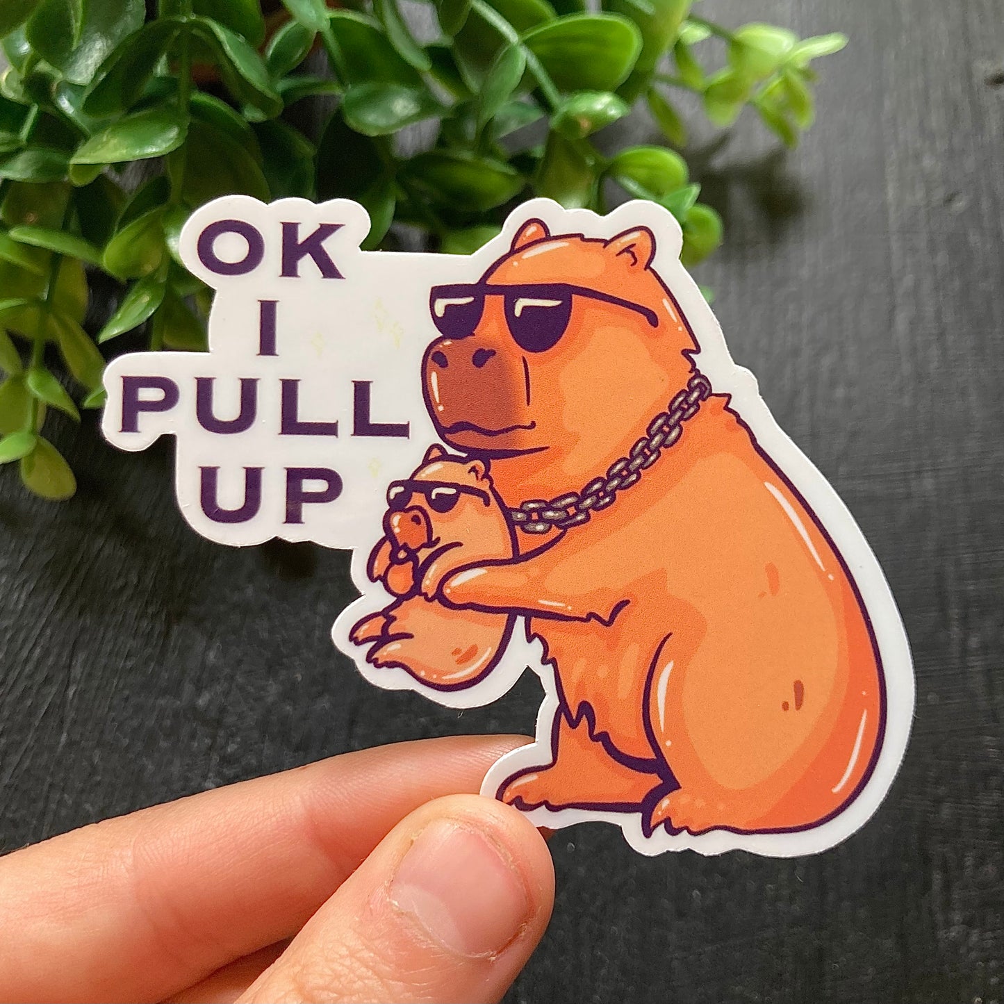 "Ok I Pull Up" Capybara Sticker