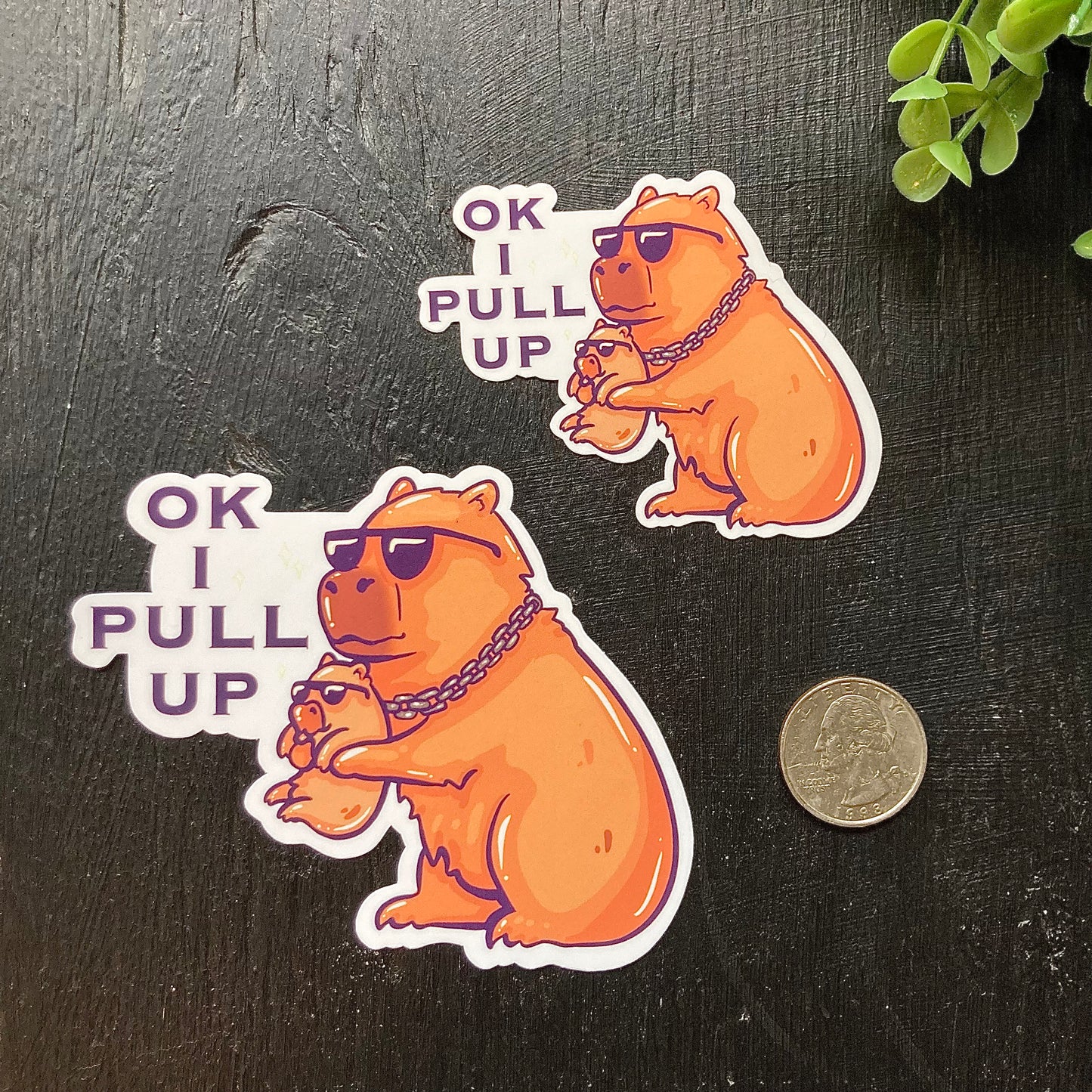 "Ok I Pull Up" Capybara Sticker