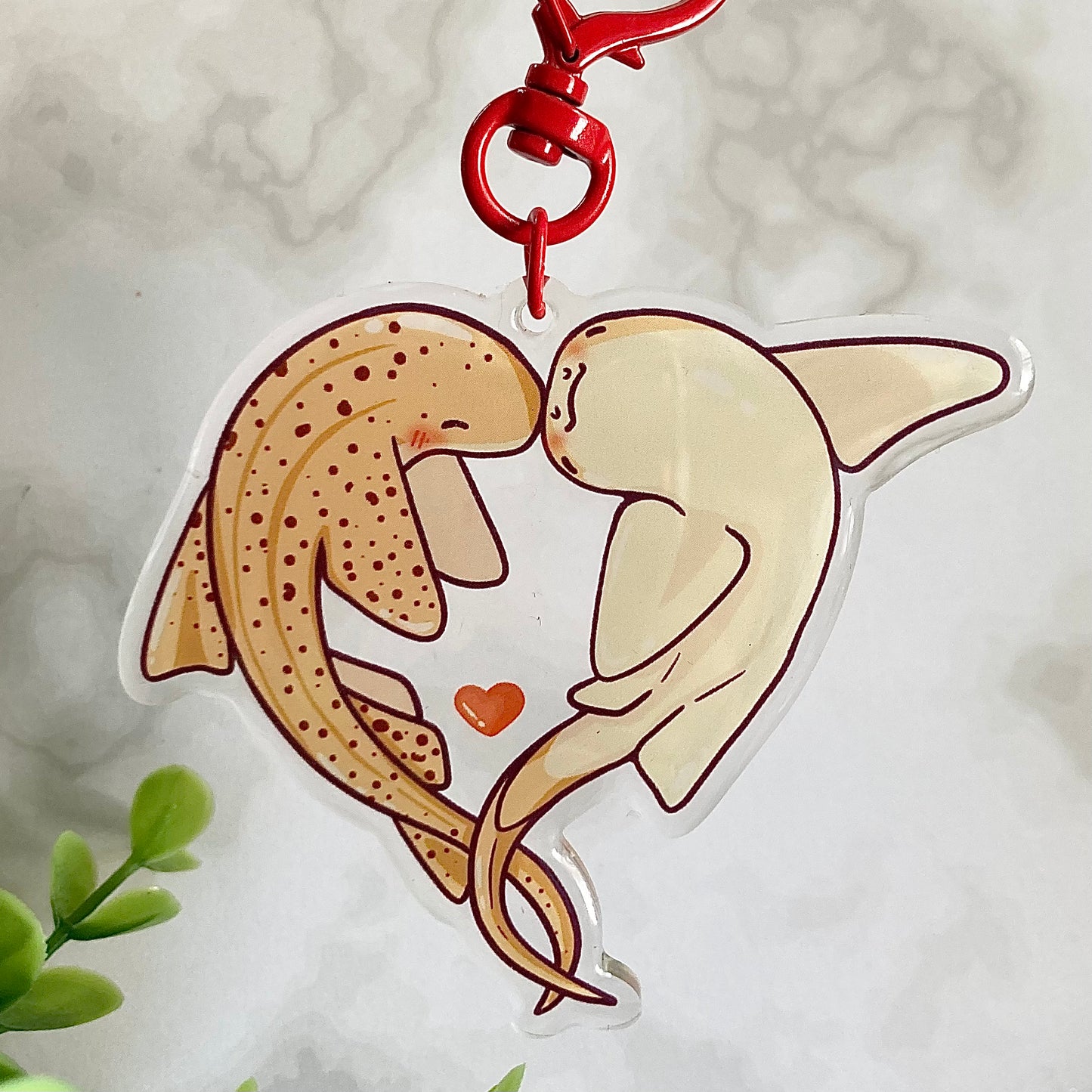 Zebra Heart Sharks Keychain!