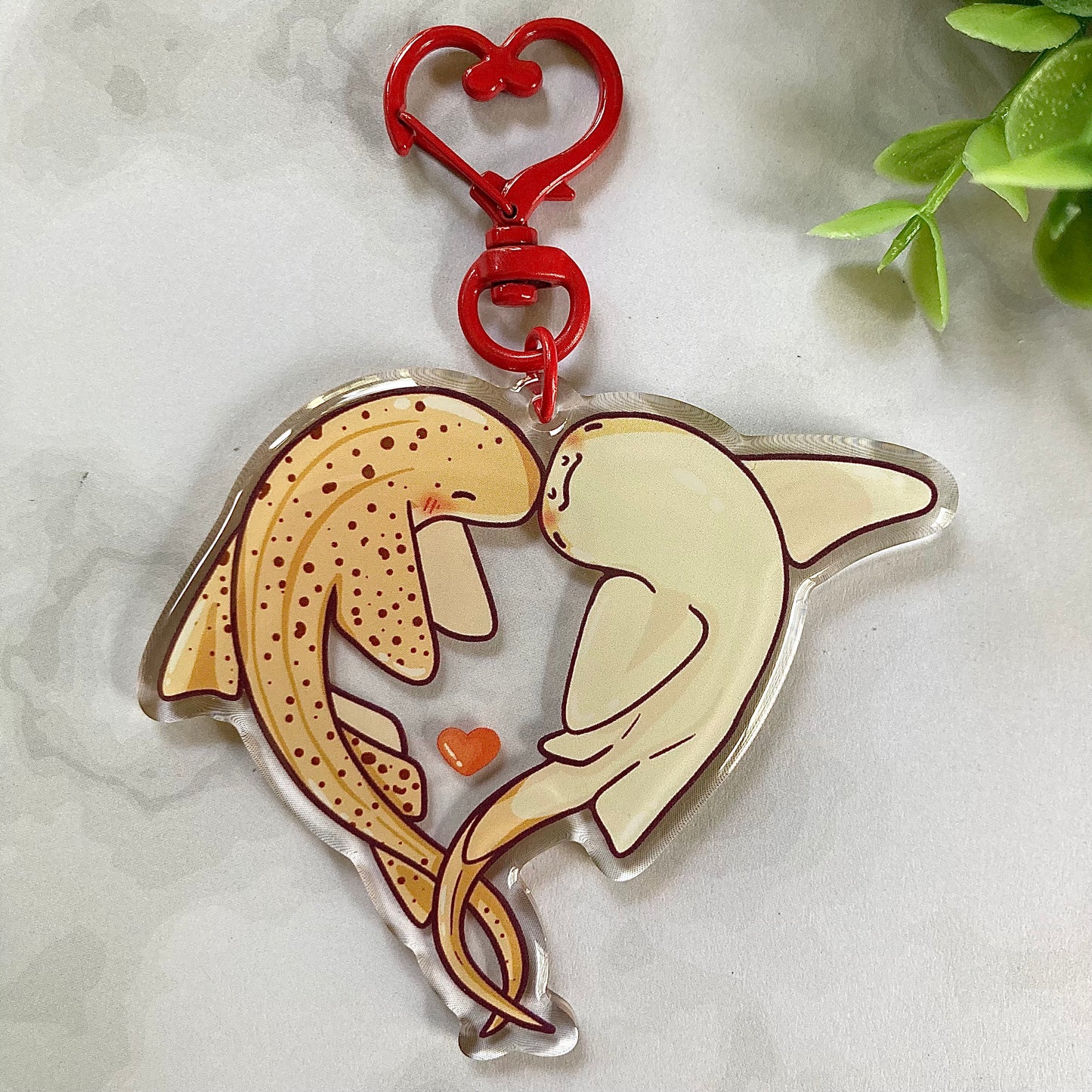 Zebra Heart Sharks Keychain!